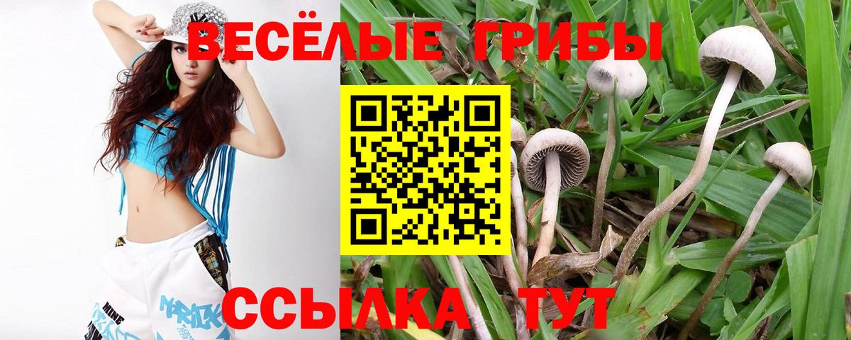 Галлюциногенные грибы Magic Shrooms Шали